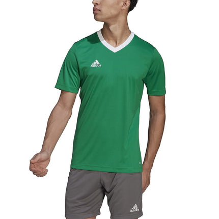 adidas Men's Entrada 22 Jersey, Team Green/White, 