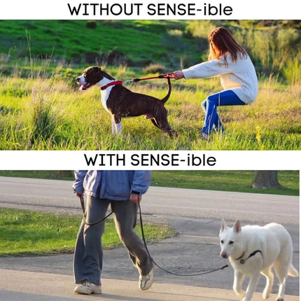 Softouch Sense-ible No-Pull Dog Harness - Black Medium