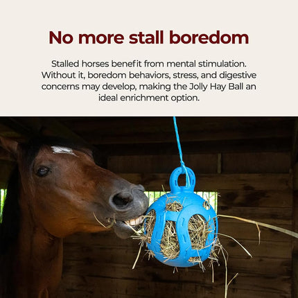 Horsemen's Pride Jolly Hay Ball Stall Toy for Horses, Blue