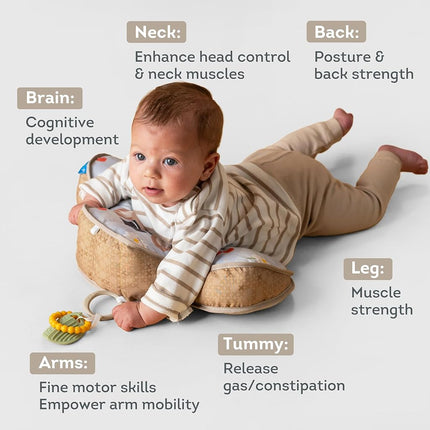Taf Toys Bear Tummy Time Cushion for Babies 0-6 Months - Soft for Infant Tummy Time Development with Teether & Rattle for Baby - Newborn Gift