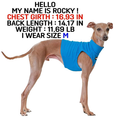 D Doggy Star Italian Greyhound Clothes Summer Cooling Crop Top T Shirt Whippet for Dog (3XL,Coolcrop Blue)