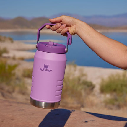 Stanley IceFlow 2.0 Jarra con Asa y Pajita Abatible 40 oz | Tapa Giratoria y Pajita Abatible | A prueba de Fugas para Viajes y Deportes | Acero Inoxidable Aislado | Sin BPA | Cuarzo Rosa