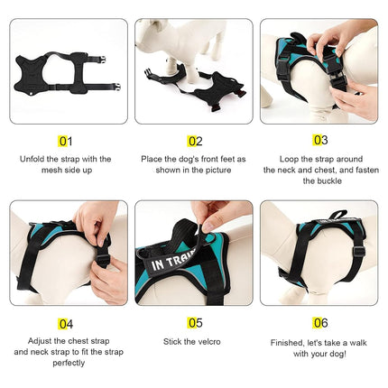 Demigreat Dog Harness, Reflective, Adjustable, Durable, Large (Chest 22.83-38.58 in, Neck 16.14-24.41 in), Turquoise, Safety, Practical, Comfort