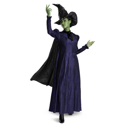 DISGUISE Adult Wicked Deluxe Elphaba Fancy Dress C