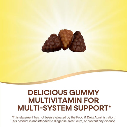 Nature's Way Alive! Premium Formula Multi-Vitamin Adult Gummies, 90 Count
