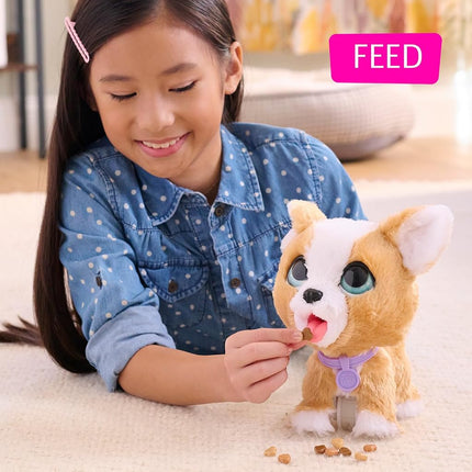 Just Play furReal Poop-A-Lots Corgi Interactive Toy, 8-inch Walking Plush Puppy, 14-pieces, Pretend Play, Kids Toys for Ages 4 Up