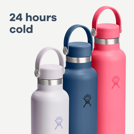 Hydro Flask Water Bottle - Insulated Stainless Steel - Non Spill, Leakproof in 21 Oz Cloud Pink