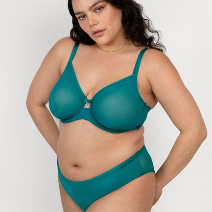 Curvy Couture Women's Sheer Unlined Underwire Plunge Bra, Fanfare, 38F