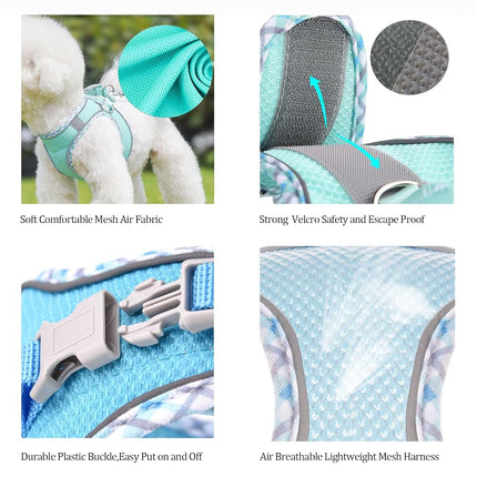 BTDCFY Step in Mesh Dog Harness and Leash Set Breathable Air Mesh Harness