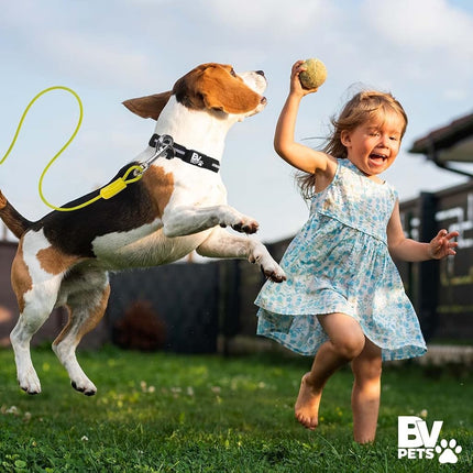 BV Pet Cable de Sujeción Pequeño para Perros de hasta 35 Libras, 25 Pies