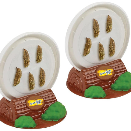 Insect Lore Two Cups of Live Caterpillars with Butterfly Life Cycle Figurines | Butterfly Habitat or Kit Refill | Painted Lady Butterflies