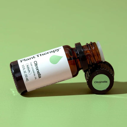 Plant Therapy Citronella Essential Oil 10 mL (1/3 oz) 100% Pure, Undiluted