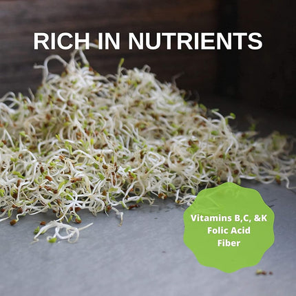 Organic Alfalfa Sprouting Seeds - 1 Lbs - Resealable Bag - Handy Pantry Brand - Growing Sprouts, Food Storage & More