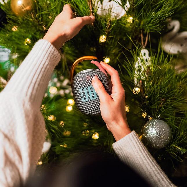 JBL Clip 4 - Mini enceinte Bluetooth portable, son puissant et basses percutantes, mousqueton intégré, étanche à l'eau et à la poussière IP67, 10 heures d'autonomie, enceinte pour la maison, l'extérieur et les voyages (Gris)