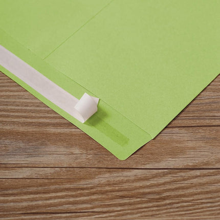 Tanshuqin 9" x 12.75" Light Green Self-Seal Catalog Envelopes