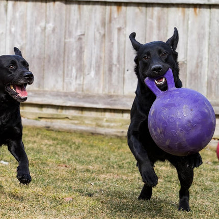 Jolly Pets 6-Inch Tug-n-Toss, Purple 406 PR