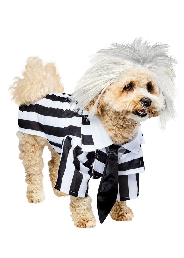 Rubie's Beetlejuice Halloween Pet Dog Costume, Siz