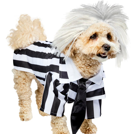 Rubie's Beetlejuice Halloween Pet Dog Costume, Siz