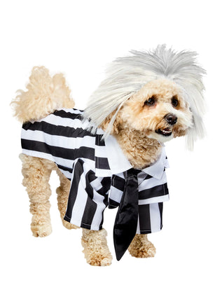 Rubie's Beetlejuice Halloween Pet Dog Costume, Siz