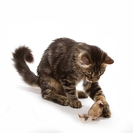 OurPets Play-N-Squeak Twice The Mice Cat Toy, 2pc