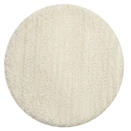 BISSELL BigGreen Commercial 437.053BG Carpet Bonne
