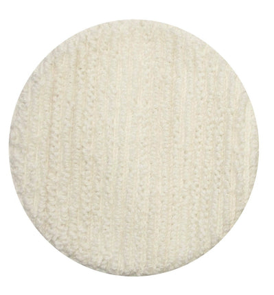 BISSELL BigGreen Commercial 437.053BG Carpet Bonne