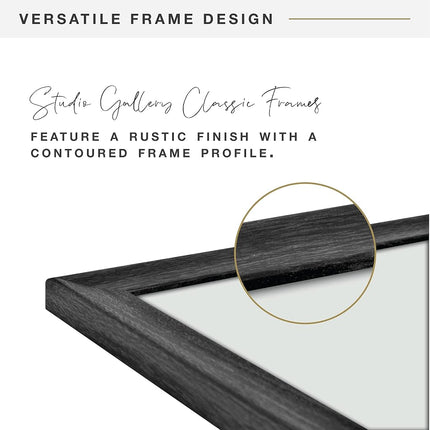 MCS STUDIO GALLERY 2 FRAME 11X14 BLACK WOODGRAIN