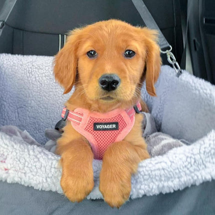 Best Pet Supplies Voyager Adjustable Dog Harness Leash Set with Reflective Stripes for Walking Heavy-Duty Full Body No Pull Vest with Leash D-Ring, Breathable All-Weather Wear - Pink, M
