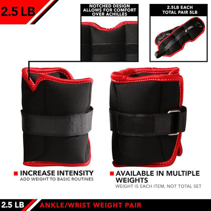 JFIT Ankle Weight Pair 2.5 LBS, Set of 2 with Adjustable Velcro Straps - Breathable, Moisture Absorbent Weight Straps for Men and Women - Comfortable Ankle, Wrist Weights