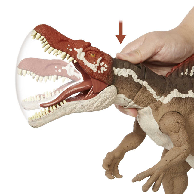 Figurine articulée dinosaure Jurassic World Extreme Chompin' Spinosaurus, énorme morsure, décorations réalistes, articulations mobiles, 4 ans et plus – Exclusivité Amazon