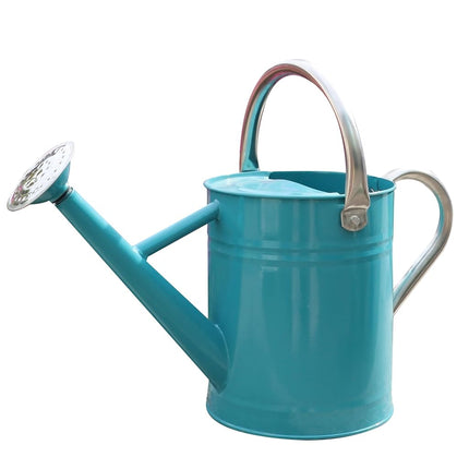 SunnyTong Metal Watering Can for Outdoor and Indoo