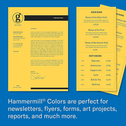 Hammermill Colored Paper, 20 lb Blue Printer Paper, 11 x 17 - 1 Ream (500 Sheets) - Made in the USA, Pastel Paper