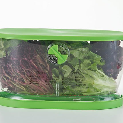 Prep Solutions by Progressive Fresh Fruit, Vegetable, Berry and Lettuce Keeper Lettuce Keeper 4.7 Quarts Green