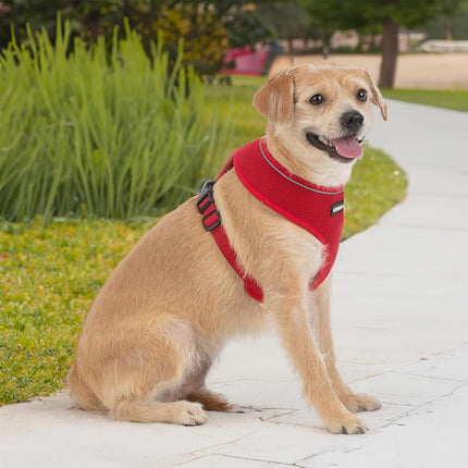 Voyager Aerolite No Pull Mesh Dog Harness with Lightweight, Soft, Breathable, Reflective Stitching, and Adjustable Straps for Walking, Running, Training, Heavy Duty and Durable - Red, S