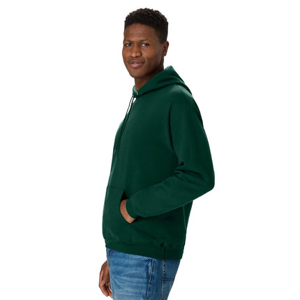 Hanes mens Ecosmart Hoodie, Midweight Fleece Sweatshirt, Pullover Hooded Sweatshirt for Men, Deep Forest, 3XL