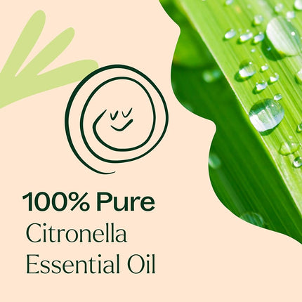 Plant Therapy Citronella Essential Oil 10 mL (1/3 oz) 100% Pure, Undiluted