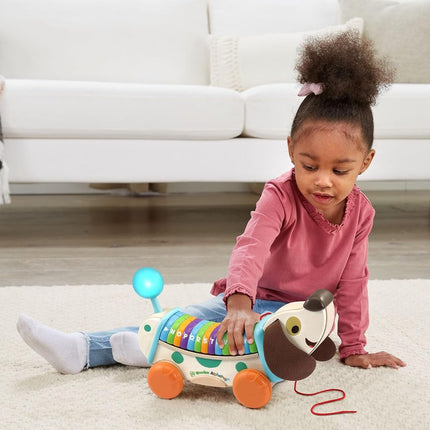LeapFrog Wooden AlphaPup