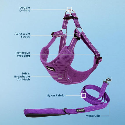 Best Pet Supplies Voyager Adjustable Dog Harness Leash Set with Reflective Stripes for Walking Heavy-Duty Full Body No Pull Vest with Leash D-Ring, Breathable All-Weather Wear - Purple, M