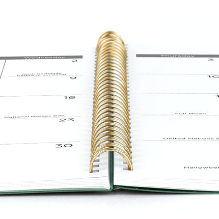 Mead 2026 Planner, Weekly & Monthly, 15-Month, 8-1/2" x 11", Large, Basic, Sage Green (CRW6209326)
