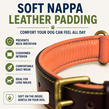 Genuine Leather Dog Collar | Brown | Full Grain, Heavy Duty, Strong, Comfortable, Padded | Best for Pups, Small, Medium, Large, XL Dog Breeds (XL (Neck Size 22.5"-25.5"), Brown)