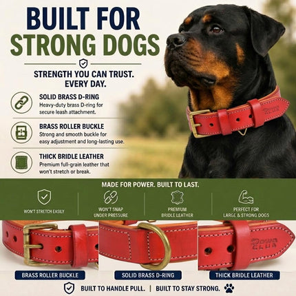 DowgClub Leather Dog Collar | Leather Collar for Large Dogs, 1.25 Inch Wide Red Dog Collar | Genuine, Full Grain, Heavy Duty, Comfortable, Inner Soft Padding (L (Neck Size 18.5"-22.5"), Red)