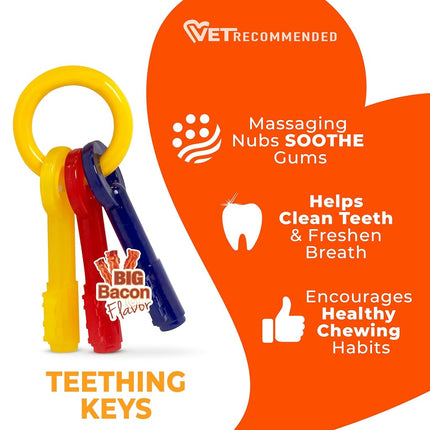 Nylabone Gentle Puppy Dog Teething Chew Toy Keys, Bacon Flavour, Medium, for Puppies Up to 16 kg