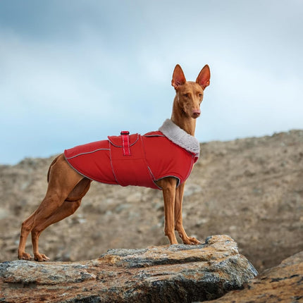 Lelepet Warm Dog Coats for Large Dogs Waterproof Dog Jacket Reflective Pet Fleece Vest Windproof Cold Weather Coats with Adjustable Buckle & Leash Hole, Red, L