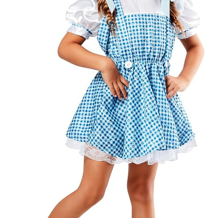 Rubies Official The Wizard of Oz Sequin Dorothy Co