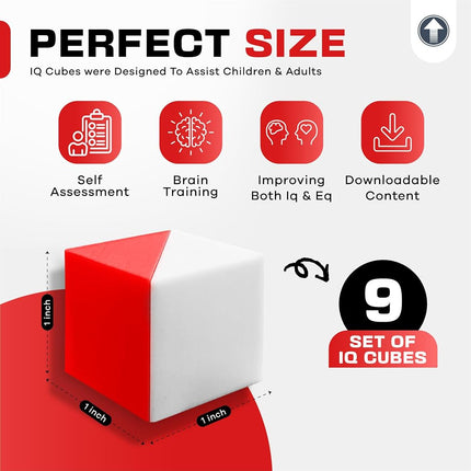 Test Cubes (Red and White) - Study for Block-Design Test, Practice Cognitive Spatial Reasoning Test, 9 Kohs Cubes, WAIS and WISC Test Preparation
