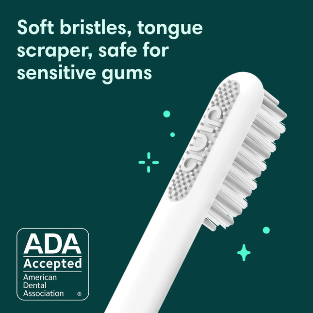 quip Electric Toothbrush for Adult - Sonic Toothbrush with Travel Cover and Mirror Holder, Soft Bristles, Timer and Metal Handle - Slate