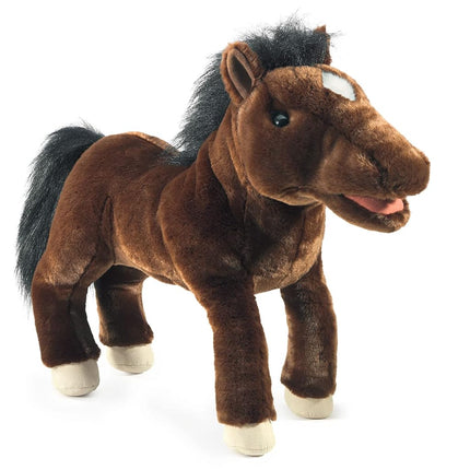 Caballo