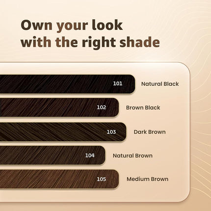 Bigen Men's Speedy Color, Natural Black 101 (150g)