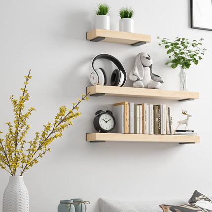Heavy Duty Shelf Brackets 4 Inch (1/5") Thick, 6 Pack Floating Hidden Brackets, Rustic Industrial with Modern Iron Finish