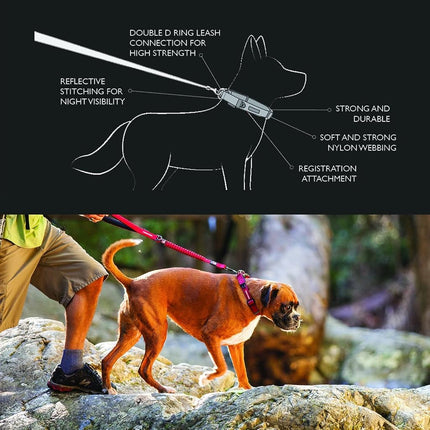EZYDOG Double Up Dog Collar | Dog Collar Small, Medium, Large Dogs, Reflective Dog Collar, Supreme Comfort, Soft Neoprene Material, Strong Nylon Webbing (Medium, Corduroy)
